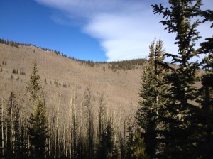 Aspen Grove to the other mountain