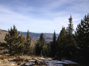 View ove 10k close to the treeline