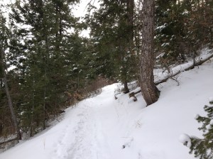 Trail2
