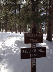 Mustange 2 trail break