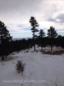 Trail COnditions at the top