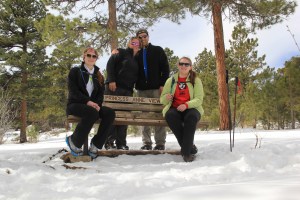 Princess Anne View Bench