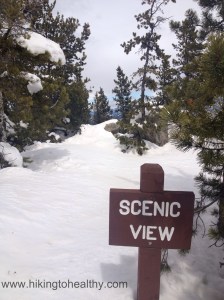 Snow is to the top of the Scenic view sign