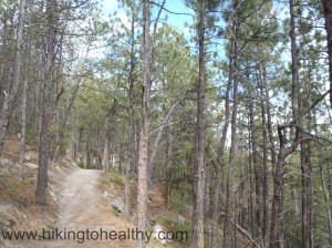 after the Northern viewpoint