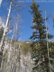 At least the views made the snow not such a big deal