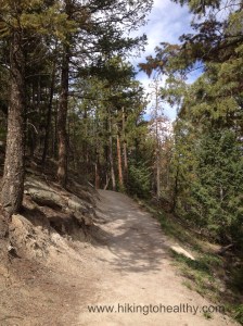 Trail Conditions on the way up.