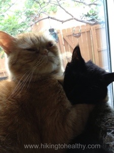 There is nothing to see here, please move a long.