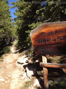 Entering Indain wilderness