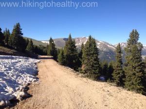 Colorado Mines Peak Road past the Mt. Flora trailhead.