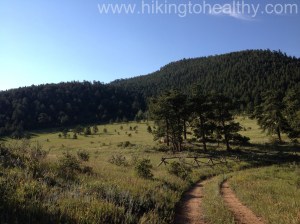View of the Cone after we crossed over the Private Property