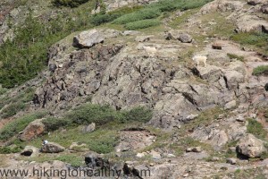 They quickly climbed way above her and then stood in Judgement of her skills...she was pretty good