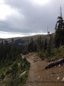 Climbing to the Bench