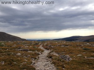 Looking back South East from the Pass sign