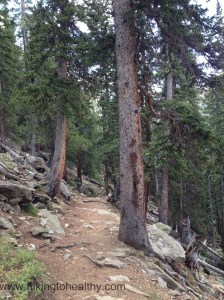 Trail conditions going down