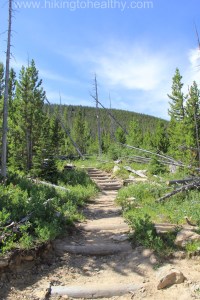 Trail Conditions through the burn scar