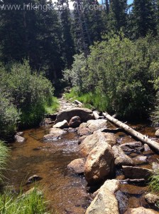 Water Crossing in the Burn Scar