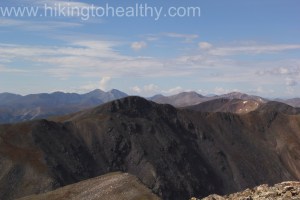 Grays n torreys
