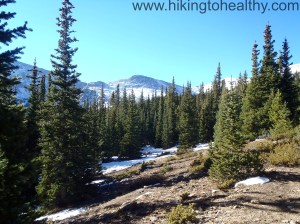 The view as we broke out of the trees