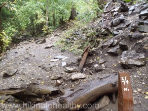 Every Quarter of a mile there is a post tracking how far you have gone.