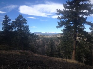 views on the way up.