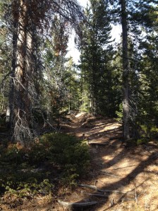 trail on the back end