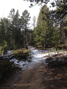 trail sign to cow lake
