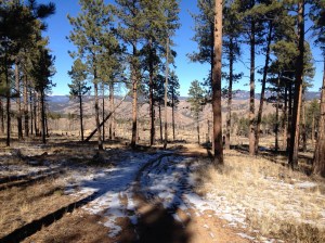 Skipper trail conditions to Strawberry Jack