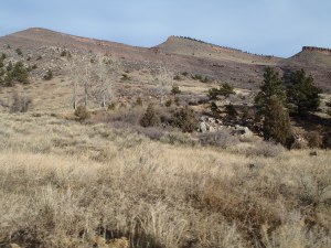 View at the start of Hall Ranch with a little sun