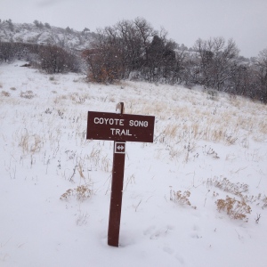 coyote trail