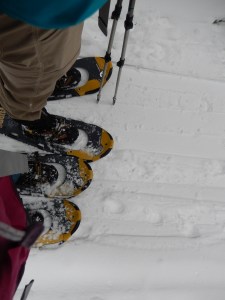snowshoes