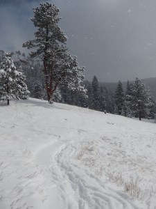 getting close to the halfway mark of the Mason Creek Trail