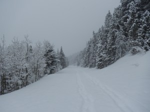 looking back after the first quarter mile