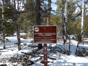 marmot passage sign