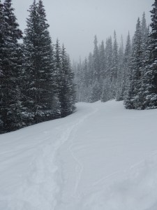 Looking at our single track