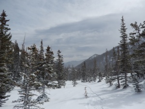 Trail Conditions going towards Emerald Lake