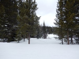 Crossing over the first xcountry skiing path.