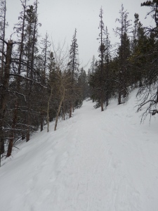 Trail Conditions to Nymph