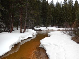 crossing geneva creek