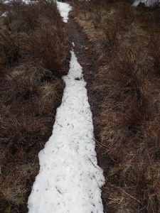 Oh that is what the trail looks like