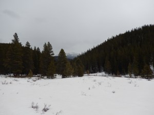 Second Meadow before the  Sun came out