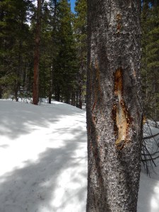 A lot of the blueish gray markers had fallen down at this point so we used the notches to keep us on track