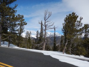 Views before the Snow