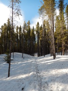 Trail Conditions in the beginning
