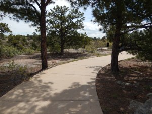 The trail from the car to the trailhead was paved