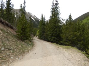 Grizzly gulch road