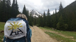 Looking back at Torreys