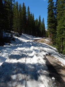 Snow on the trail