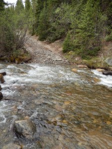 I see the trail over there