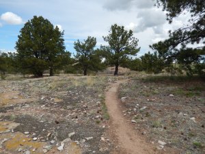 Trail loop conditions 