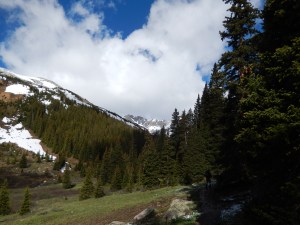 I loved breaking out of the pines to see views like this